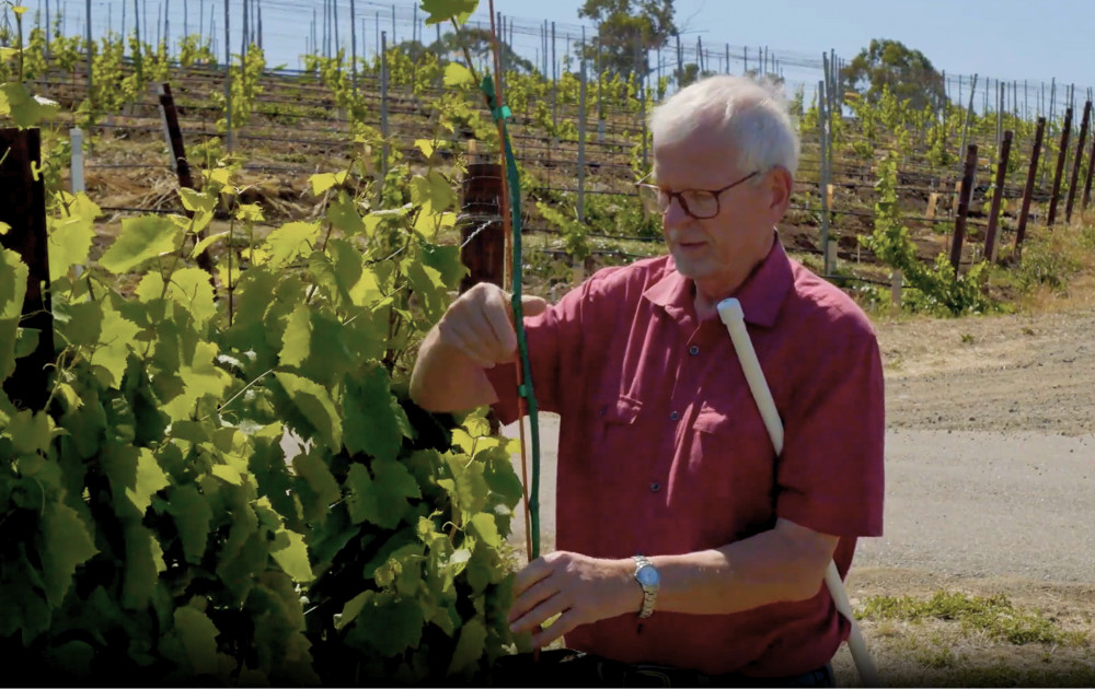 An Innovative Pest Solution