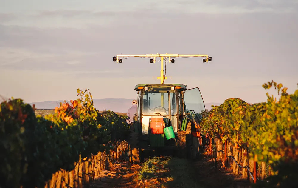 Sustainable Vineyard Equipment at Dusk