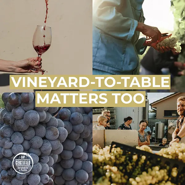 Vineyard to Table Matters
