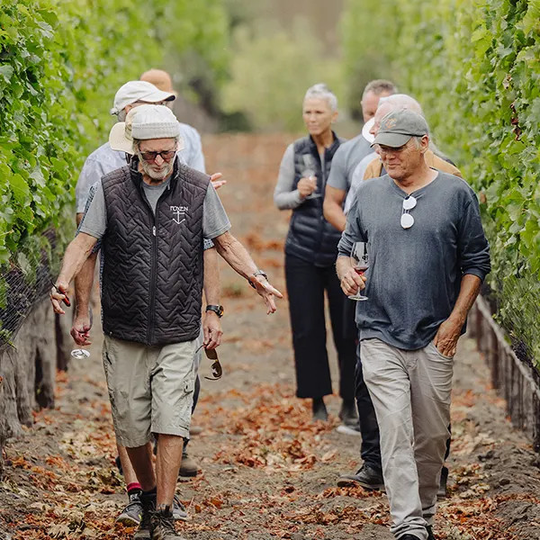 Sustainable Vineyard Tour
